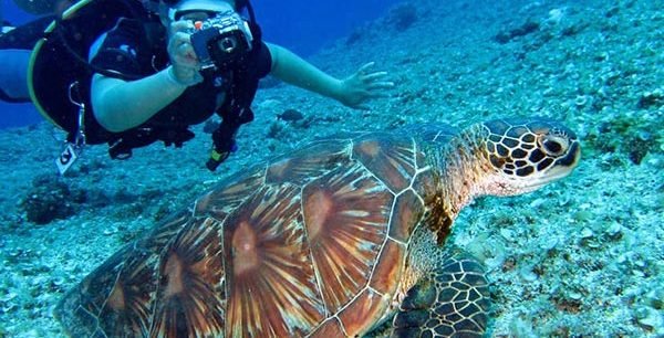 Marsa Alam