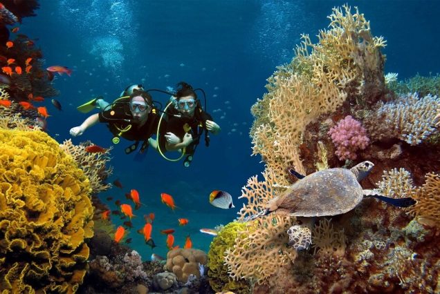 Snorkeling at Mahmya Island in Hurghada
