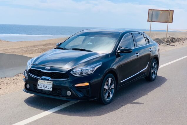 Private Transfer from Aswan Airport to Hotel or Cruise