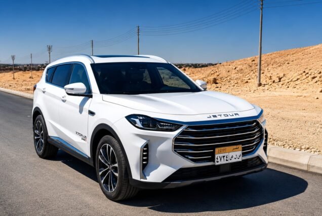 Private Transfer from Hurghada Airport to Hotel