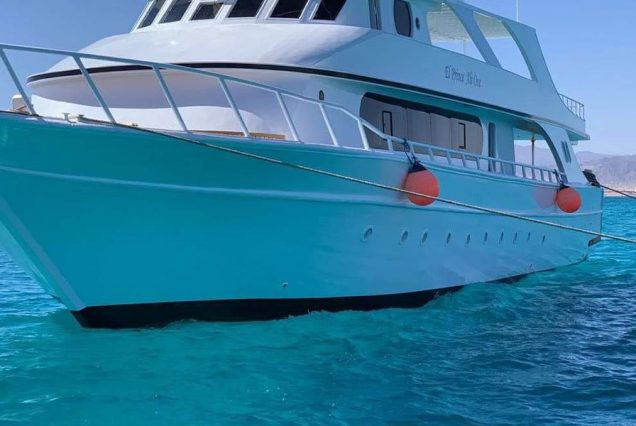 Snorkeling Trip At Port Ghalib Marina from Marsa Alam