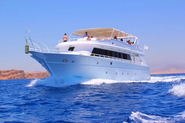 Snorkeling Trip At Port Ghalib Marina from Marsa Alam